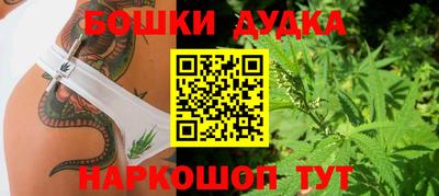 ГАЛЛЮЦИНОГЕННЫЕ ГРИБЫ Свободный