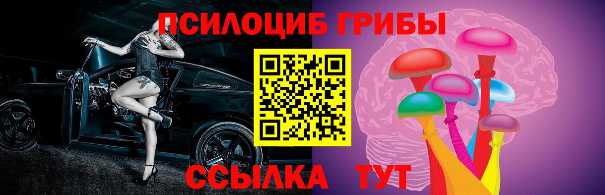 Псилоцибиновые грибы мухоморы Полысаево